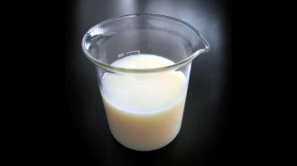 Carrocera 113 - Materiales Compuestos - Chemia SA